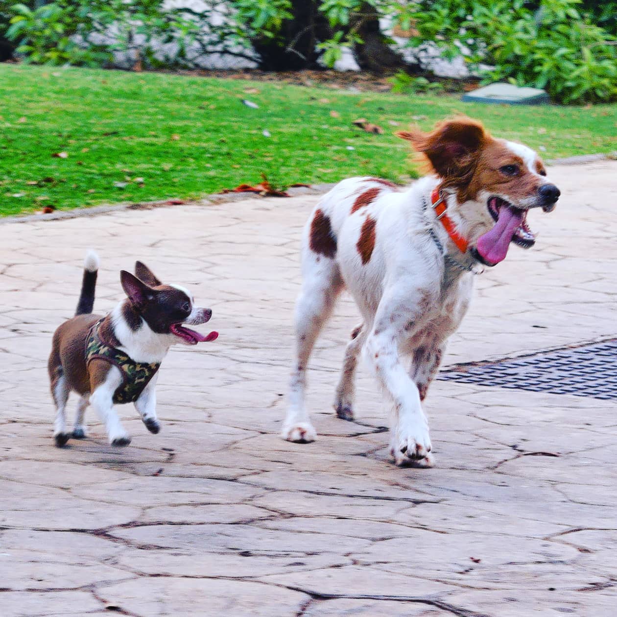 El amor no entiende de tamaños